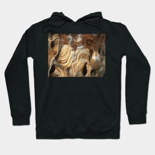 Sandstone Patterns #3 Hoodie